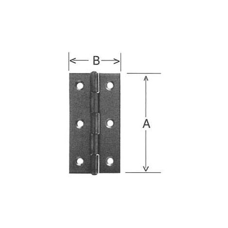 ORECA - 2 CERNIERE TIPO STRETTE CON PERNO FISSO IN INOX 30X20MM