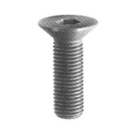 ORECA - VITI TESTA PIANA SVASATA 6X20MM6PZ