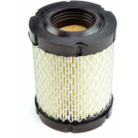 Oregon 30-852 Filtro Aria di Ricambio per Briggs & Stratton 796032