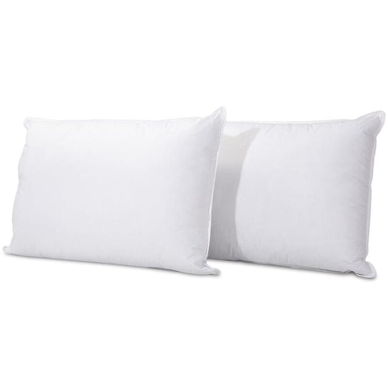 Bellecour literie Lot de 2 oreillers 50x70 cm alaska Fibres creuses polyester