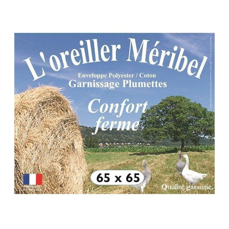 Oreiller plumes 65 x 65 cm ' Dodo