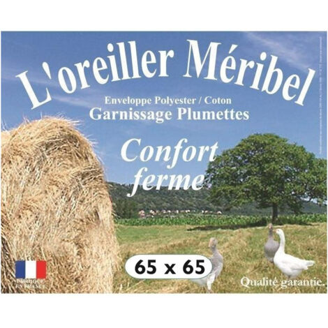 Oreiller plumes 65 x 65 cm "DODO"