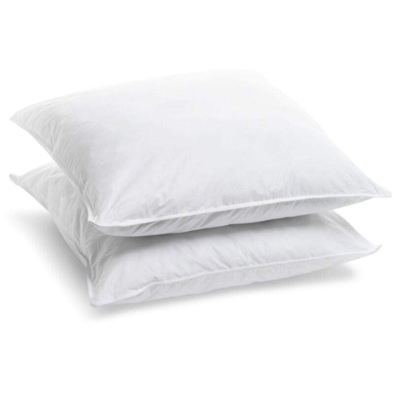 Lot de 2 Oreillers Ferme - 65x65cm