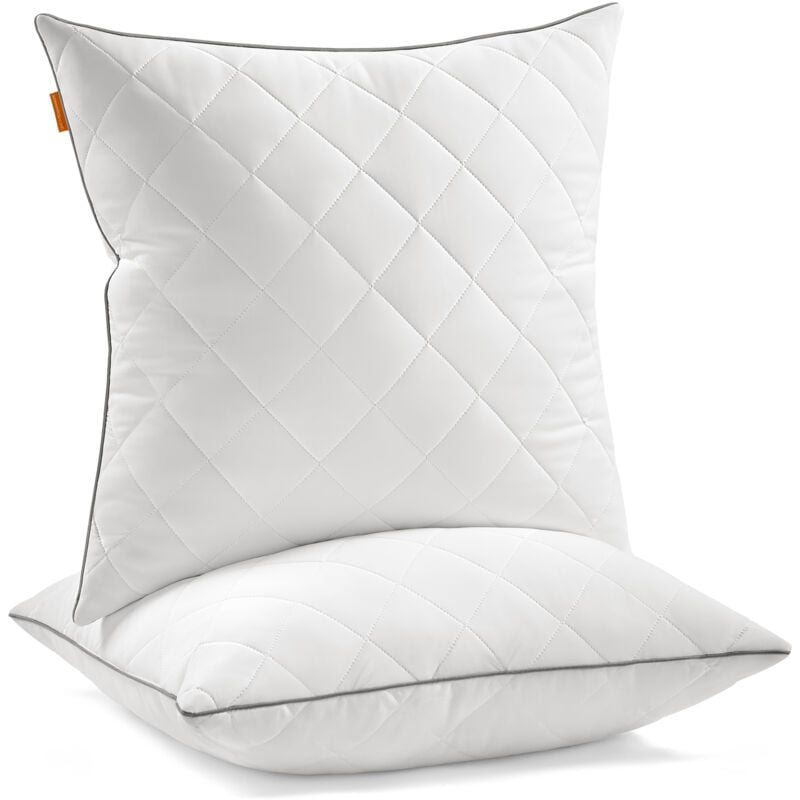Songmics Home - Oreillers, Lot de 2, Double Face, 60 x 60 cm, Housse Douce et Rafraîchissante, Garnissage 650 g, Hiver Été, Coussin, Lavage et