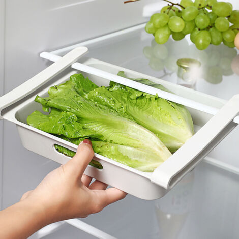 Organisateur de réfrigérateur - Boîte de rangement multifonction pour œufs (12 compartiments) - Boîte de rangement réfrigérateur durable en plastique