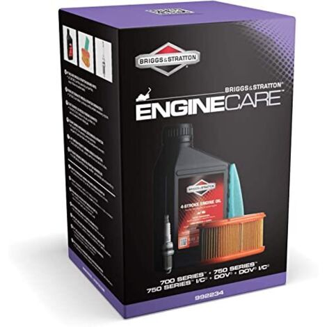 Original BRIGGS & STRATTON Rasentraktor-Wartungssatz 700 750 IC