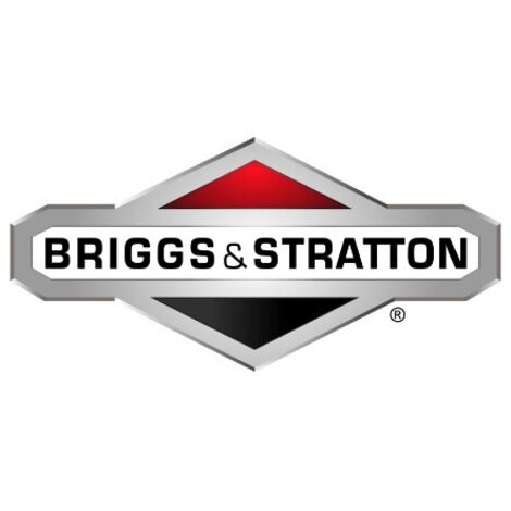 ORIGINAL BRIGGS & STRATTON tracteur de pelouse ressort de tondeuse 165X155MA