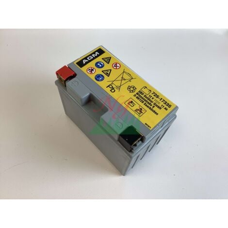 ORIGINAL MTD AGM 11 Ah 12 v Batterie für Roboter-Rasenmäher 725-17335