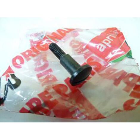 Original-Schrauben für Motorrad Aprilia 125 RS 1999 bis 2005