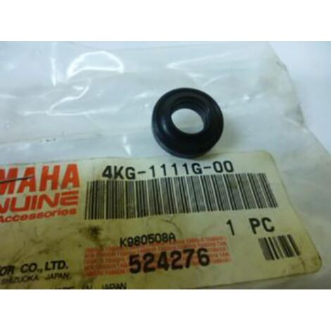 original Schrauben für Motorrad Yamaha 1000 fz1 nach 2005