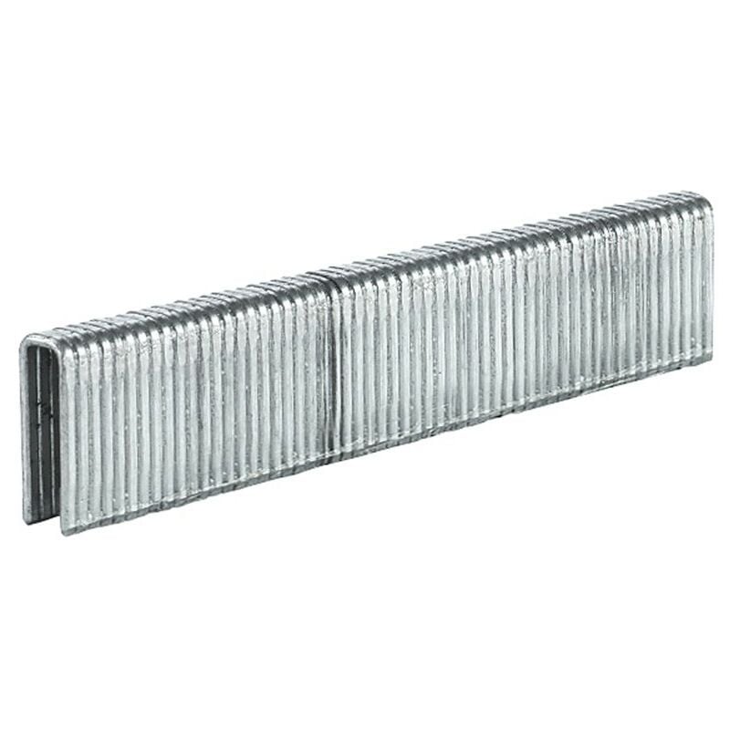Recharge d'agrafes pour agrafeuse sans fil 19mm 3000 pcs - Einhell