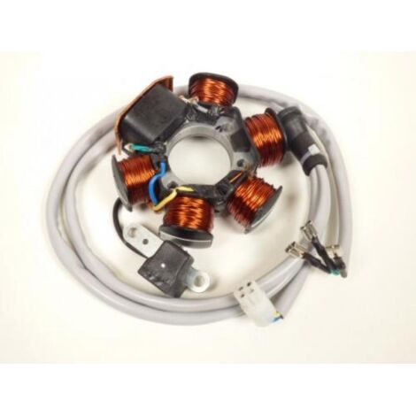 Originalzündungsstator Original für Scooter Piaggio 50 Typhoon