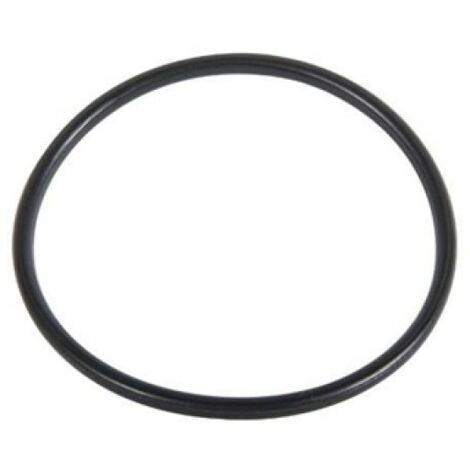 O.RING PER FILTRO 244-HYMFI 31.47 x 1.78 - Tipo C