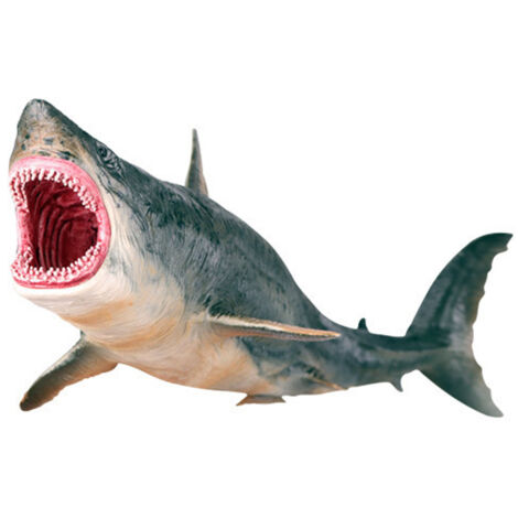 Ornement Requin en Plastique Vif - Jouet Éducatif sur les Animaux Marins, Idée Déco avec Gravure et Peinture Détaillée