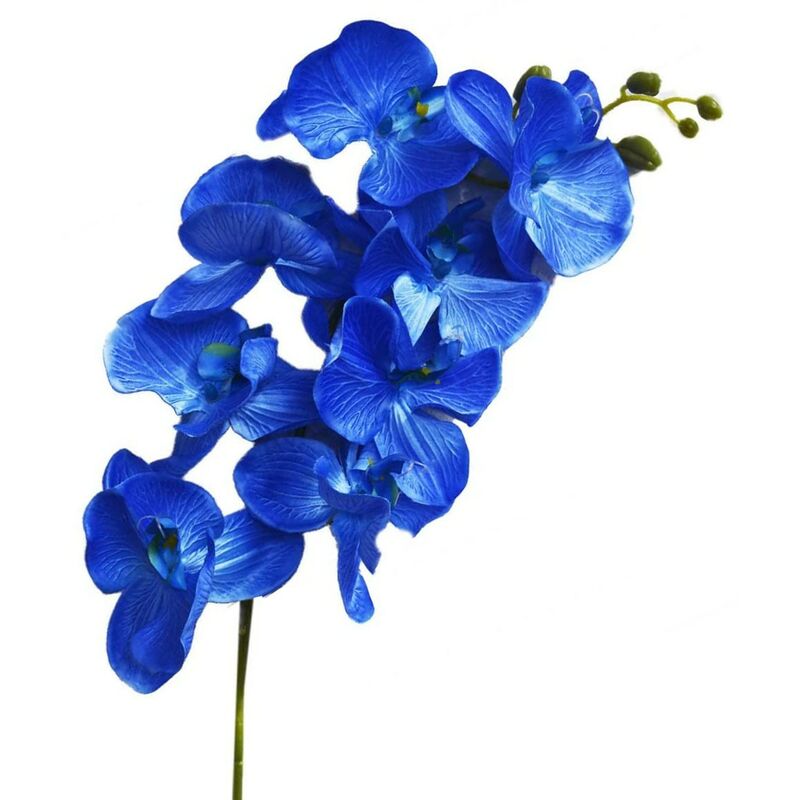 

Orquidia Artificial Set de 3, Flores Artificiales de Interior. Ramo de Orquidias Decoración Primaveral 100 cm Color - Azul