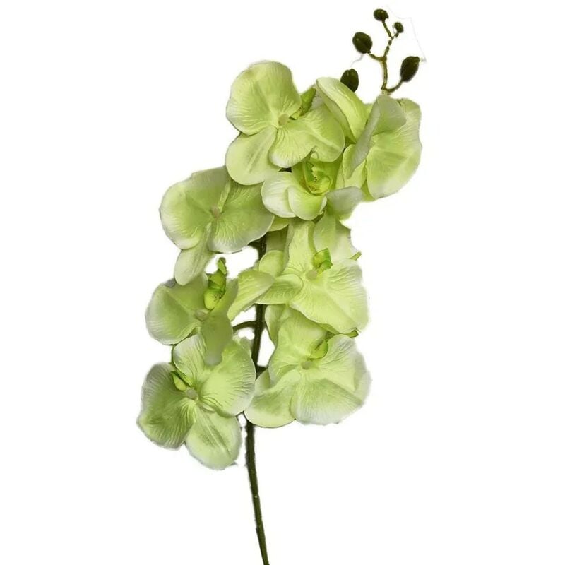 

Orquidia Artificial Set de 3, Flores Artificiales de Interior. Ramo de Orquidias Decoración Primaveral 100 cm Color - Verde