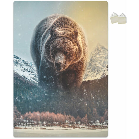 ORSO - POSTER in PVC da 3mm - Misura: 70x100 cm