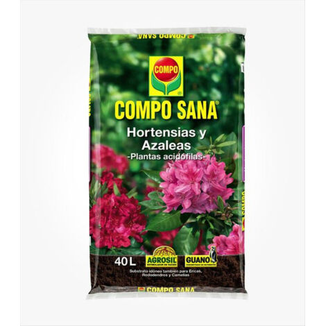 Ortensie sane Como e Azaleas 40L