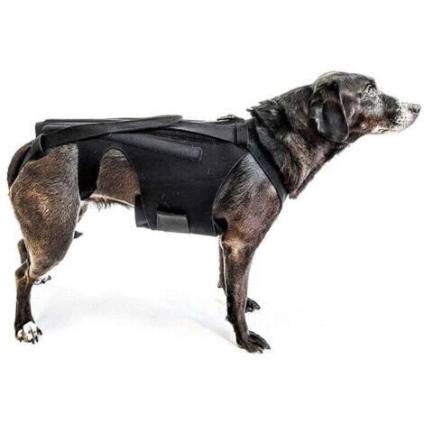 Orthèse dorsale (taille M) pour petits chiens, arthrite, récupération après chirurgie de la colonne vertébrale, hernies discales, disques glissants, rééducation - Teckels, Corgis
