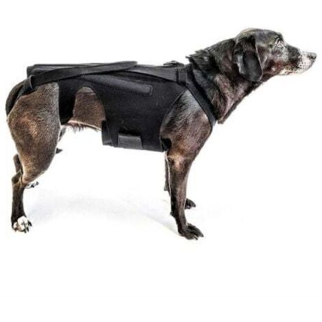 Orthèse dorsale (taille S) pour petits chiens, arthrite, récupération après chirurgie de la colonne vertébrale, hernies discales, disques glissants, rééducation - Teckels, Corgis