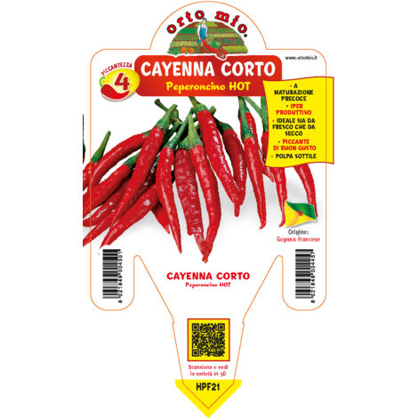 ORTO MIO 4 Peperoncino Cayenna Corto
