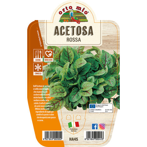 ORTO MIO Acetosa Rossa