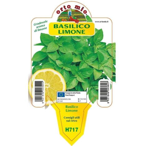 ORTO MIO Basilico Limone