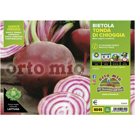 ORTO MIO Bietola Rossa di Chioggia Bersaglio