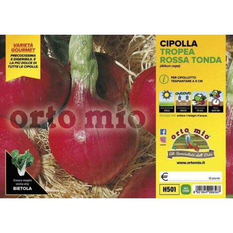 ORTO MIO Cipolla tonda rossa di Tropea