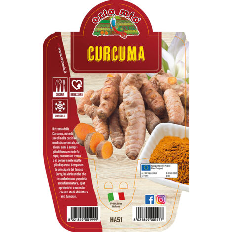 ORTO MIO Curcuma