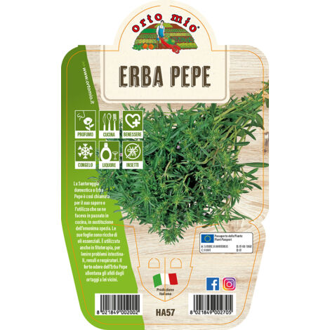 ORTO MIO Erba Pepe