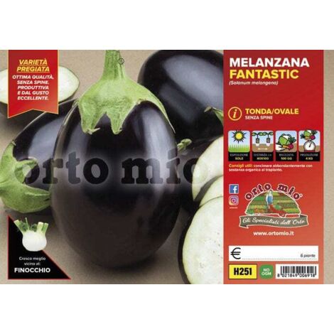 ORTO MIO Melanzana Tonda Ovale Nera Fantastic