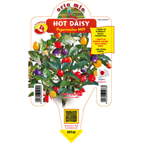 ORTO MIO Peperoncino Hot Hot Daisy