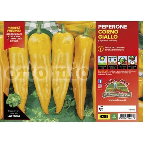 ORTO MIO Peperone Corno di toro Giallo Astor