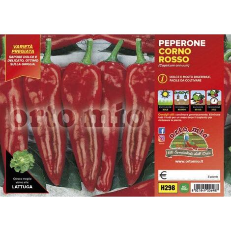 ORTO MIO Peperone Corno Rosso Alceste