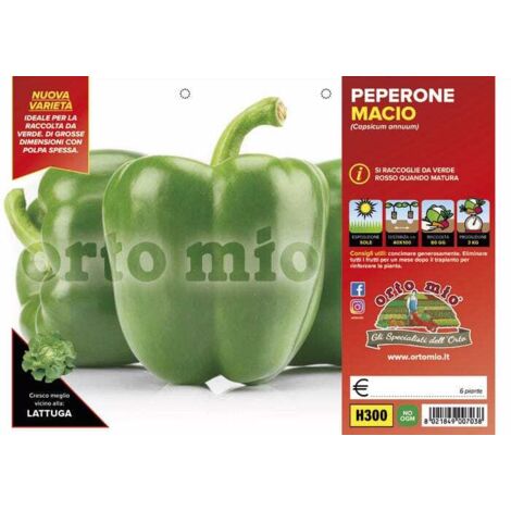 ORTO MIO Peperone Verde Macio