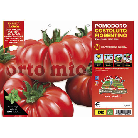 ORTO MIO Pomodoro Costoluto Fiorentino