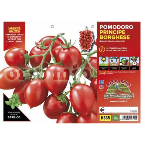 ORTO MIO Pomodoro Da Appendere Principe Borghese