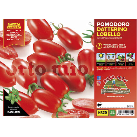 ORTO MIO Pomodoro Lobello Datterino