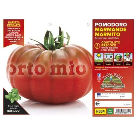 ORTO MIO Pomodoro Marmande Costoluto