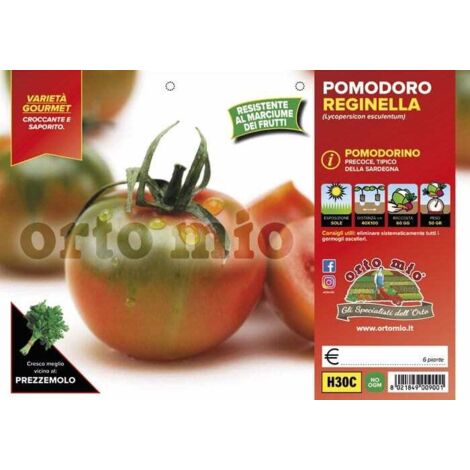 ORTO MIO Pomodoro Quinto Gusto var. Yup