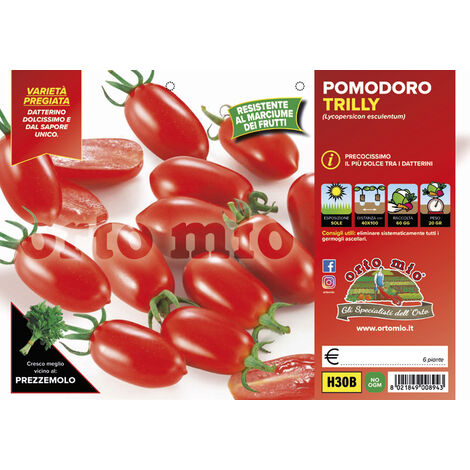 ORTO MIO Pomodoro Trilly Datterino