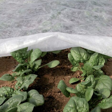 Ortoclima Plus 2,40x10 m Bianco, Telo Invernale per Piante e Colture, in Tessuto Non Tessuto 30 g/m², Protegge Piante, Fiori e Ortaggi da Freddo, Gelo e Vento