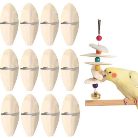 Os de Seiche - Jouets à Mâcher - 10-12 cm - Calcium Naturelle pour Oiseaux Becs Pointus, Tortue, Escargots
