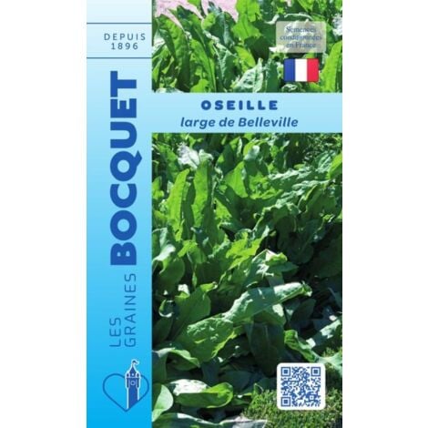 Oseille large de Belleville - 3g
