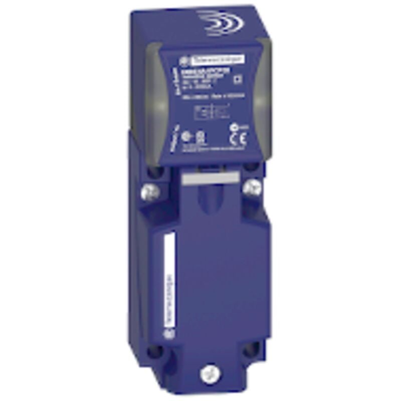 Schneider Electric - Télémécanique - OsiSense XS8 - détecteur inductif - 40x40 - L117mm - pbt - Sn 20 mm - bornes - XS8C4A1DPG13