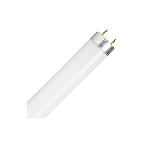 Osram – Ampoule led 8W G5 blanc chaud – Flux lumineux 430 lm – Pour espaces confinés – Pack de 1