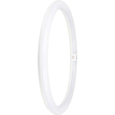OSRAM HOMELIGHTING Tubes LED CEE: E (A - G) G10q forme d'anneau 24 W = 40 W blanc froid (Ø x L) 400 mm x 400 mm 1 pc(s) C888772