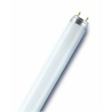 Osram lampada fluorescente delux natural l3076