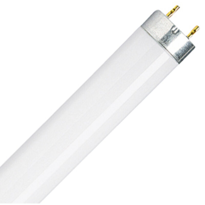 Osram - Ampoule Relax Blanc Chaud, 8 w, Blanc, 1 pc (Pack of 1)